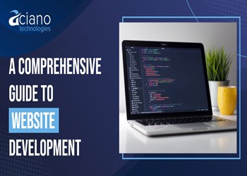 custom web development